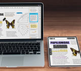 The PDF editor based on AI for all platforms: Updf