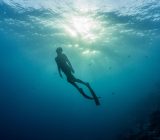 Our complete guide to the film underwater